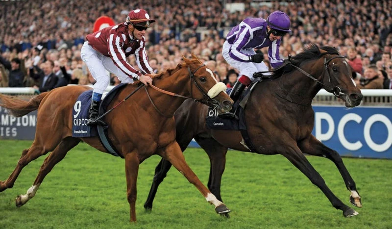 Horse racing betting factors you need to know